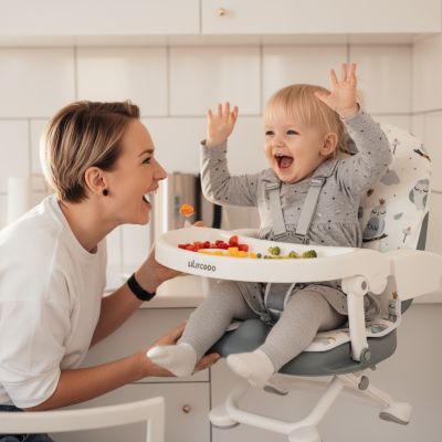 chaise-haute-bebe-confort-onyx-hibou-sage-rire-de-bonheur