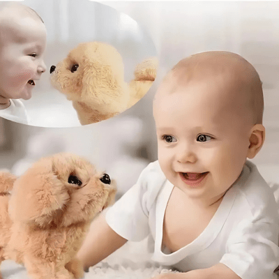 CHIEN EN PELUCHE | KABY™ - Bébé Harmonie