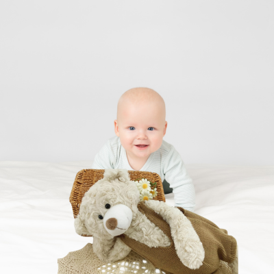 ours en peluche-captivant