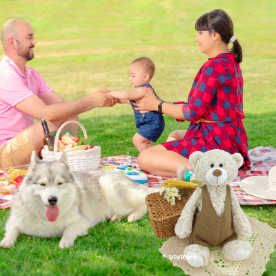 ours en peluche-parc